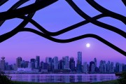 2026年世界冰壶混双系列赛扩军 中国组合获更多参赛机会，2021年世界冰壶混双比赛