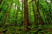世界体能训练应用案例发布：实证研究支持训练方法有效性，体能训练的起源与发展演变